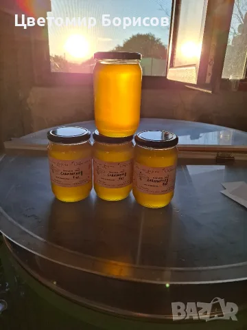 Пчелен мед "СЛЪНЧОГЛЕД" на едро и на дребно, снимка 4 - Пчелни продукти - 55605268