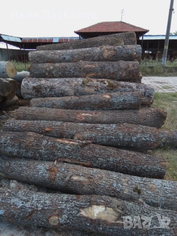 Дьбови и букови янове, снимка 6 - Дърводелски услуги - 54734424