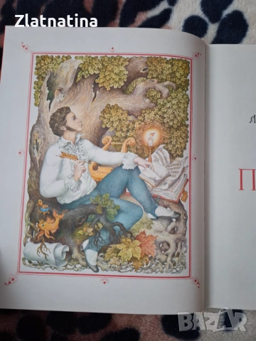 Пушкин Приказки, снимка 4 - Детски книжки - 54220009