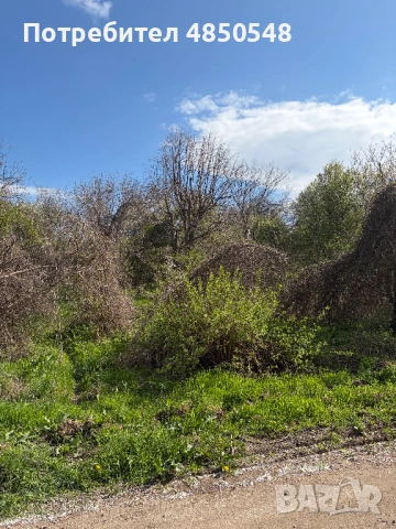 парцел в село Тошевци, Видинско