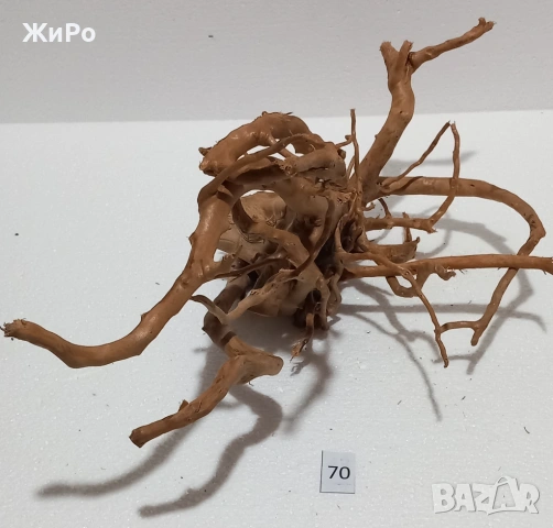 Корен от Азалия /декорация/ 70, снимка 2 - Други - 54102518