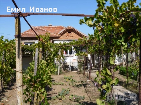 имот в с.Ковачите, снимка 3 - Къщи - 54475843