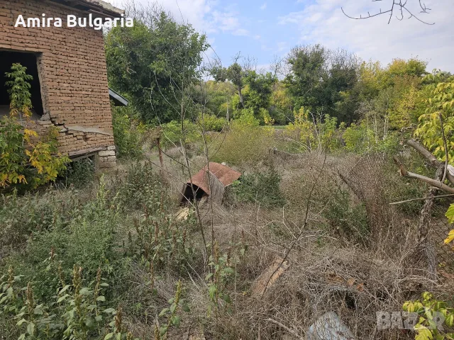 Две евтини къщи с голям двор, снимка 6 - Къщи - 55332687