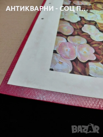 Комплект Соц Стари Научни Репродукции Картини. НОМЕР 1417., снимка 9 - Антикварни и старинни предмети - 54128498