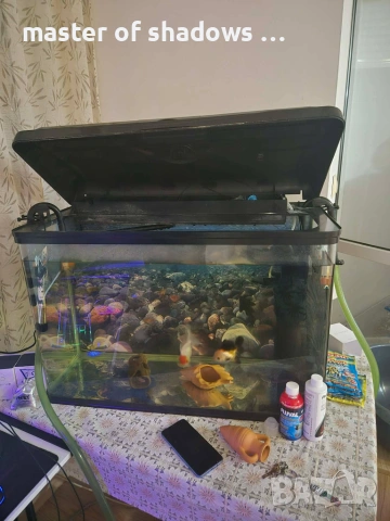 големи бонуси акжариуми топ цена от мен за вас :) 