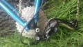 Gravel 51cm - Cannondale CAADX Shimano 105 Disc / Gravel, снимка 8