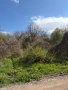 парцел в село Тошевци, Видинско, снимка 1