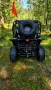 UTV-250cc с лебедка и теглич , снимка 5