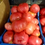 Разсад - Домати, снимка 13