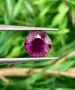 Естествен Гранат Родолит 1.31 ct – Мозамбик, снимка 1