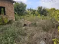 Две евтини къщи с голям двор, снимка 6