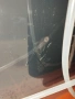 Здравейте продавам звезден сом L 181, снимка 5