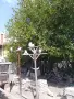 Продавам гълъби, снимка 4