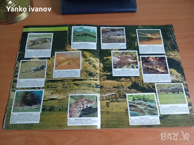 Спасете застрашените животни, снимка 5 - Филателия - 53964540