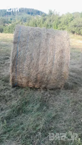 Продавам рулонни бали.Цена 25 €.