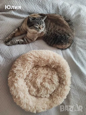 Легло/Къщичка за котка/кучета, снимка 7 - Други стоки за животни - 53983950