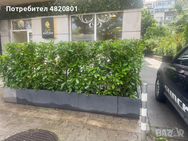 Професионални градински услуги , снимка 9 - Други - 55193245