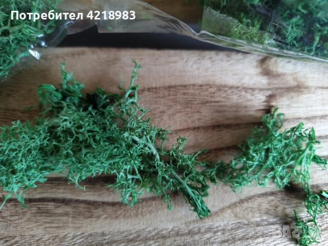 Изкуствен мъх за декорация , снимка 3 - Декорация - 54007701