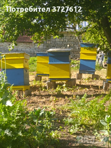 Пчелни кошери 