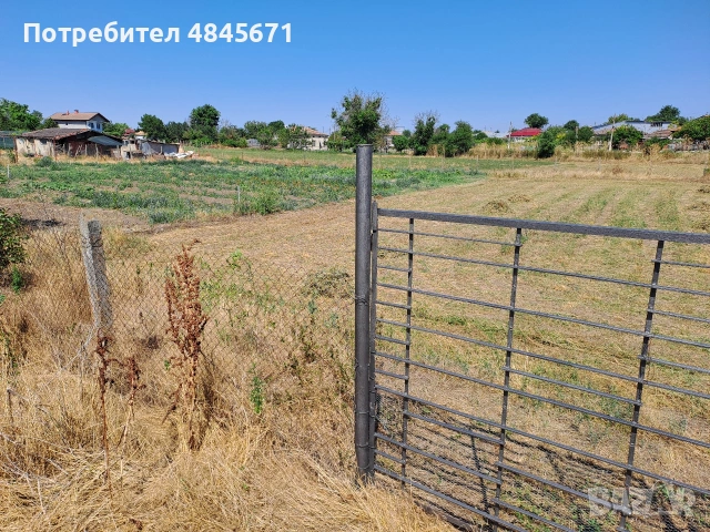 Продавам дворно място в село Царевец  , снимка 2 - Парцели - 54765953