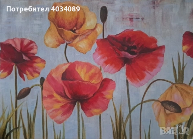 Картина -20 евро