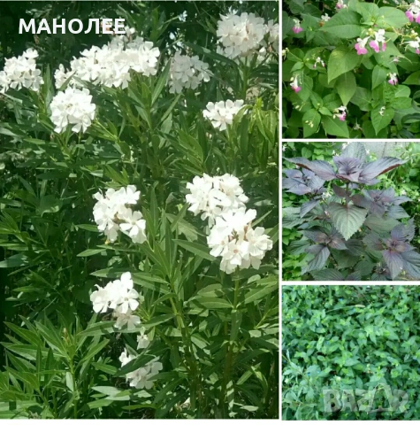 🎁🎁🎁🎁🎁ПОДАРЪЦИ🎁🎁🎁🎁🎁🎁
