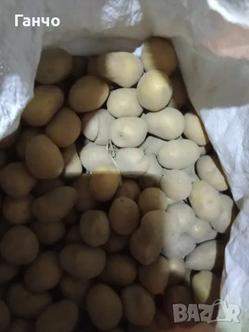 Картофи за животни.