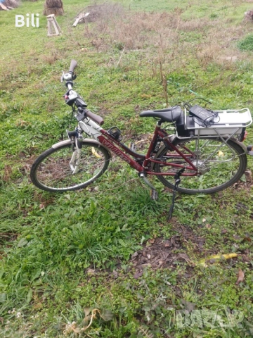 Електрическо немско колело(williger)