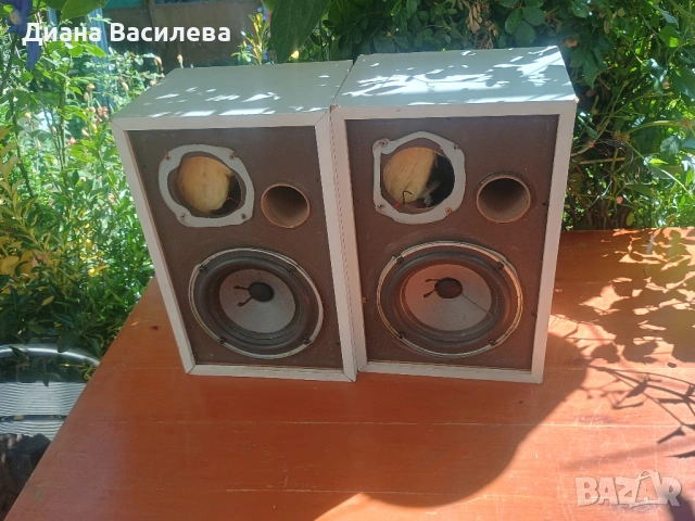 Bose interaudio-1000