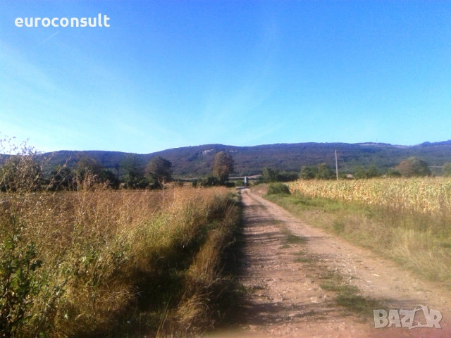 парцел 1200 кв.м град Севлиево в близост до Републикански  -София/Варна, снимка 3 - Парцели - 54574176