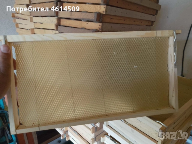 Кошери , снимка 9 - Други животни - 54303600