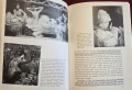 Визуална история на английското изобразително изкуство / A Concise History of English Painting, снимка 14