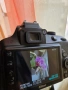 Nikon D3300 (+ обектив и чанта), снимка 3