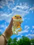 Ръчно изплетени с много любов играчки. , снимка 4