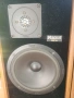  Magnat MSP-50, снимка 4