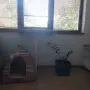Пластмасова саксия, снимка 3