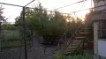 ПРОДАВАМ ВИЛА С ЛОЗЕ, снимка 1