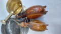 бъклица,стара ютия,хаванче,хаван,петле,, снимка 5