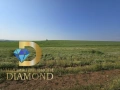 Земеделска земя в село Добрич, общ. Димитровград, снимка 4