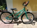 Pegasus 24 * vnos Germany , снимка 1