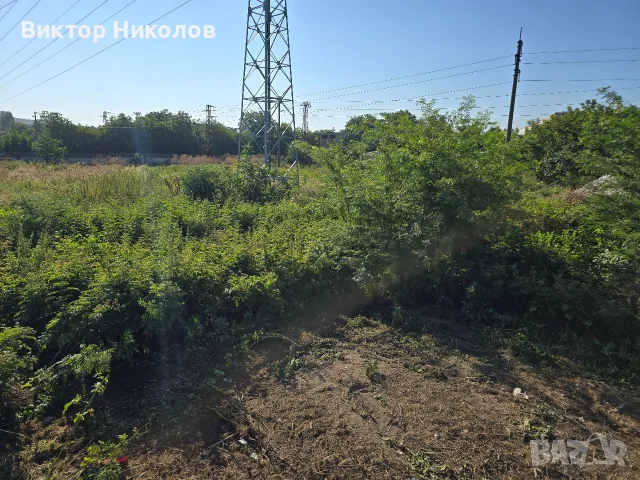 Услуги с горски мулчер , снимка 2 - Други услуги - 55576870