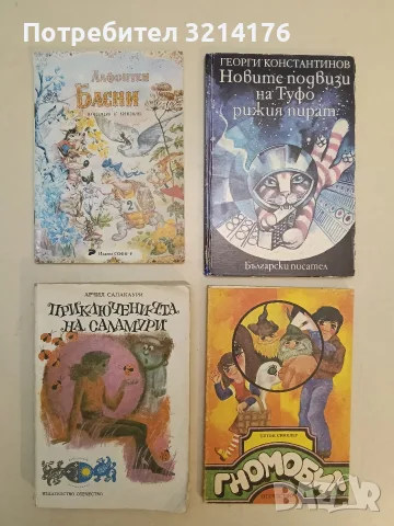 Новите подвизи на Туфо, Рижия пират – Георги Константинов