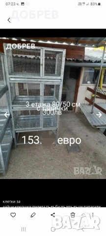 клетки за гълъби, папагали, гугутки, кокошки, пилета, катерички,зайци.Разград 0885 34 34 64 , снимка 17 - За птици - 54199863