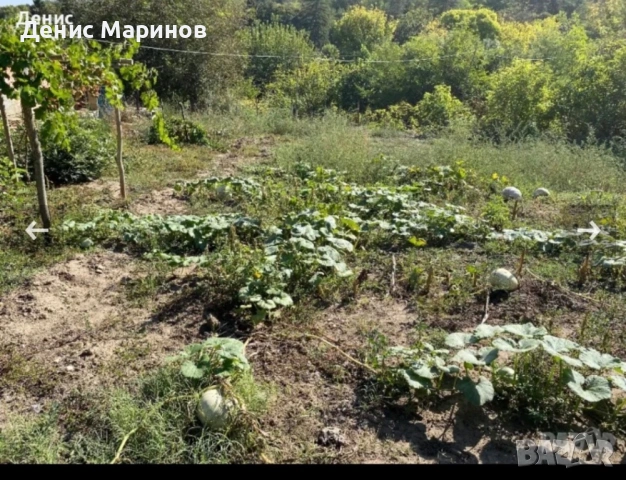 Къща на тихо и спокойно масто! , снимка 6 - Къщи - 54656257