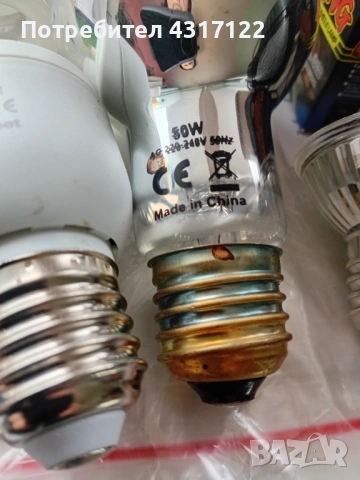 За влечуги и хамелеони и варани, снимка 12 - Други - 54014858