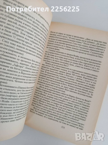 Животът на Исус Христос, снимка 2 - Художествена литература - 54930069