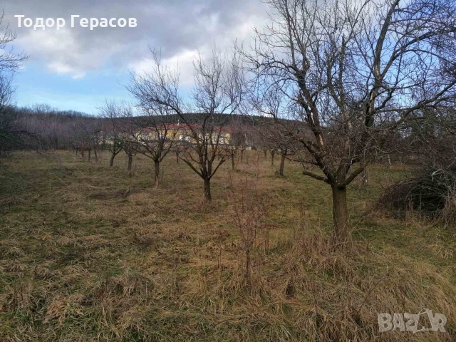 Парцел в регулацията на с.Гумощник