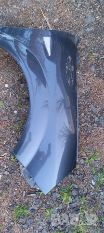 Десен калник Renault Scenic II, снимка 3 - Части - 54096521