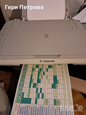 Принтер, копир, скенер Canon PIXMA MG2450