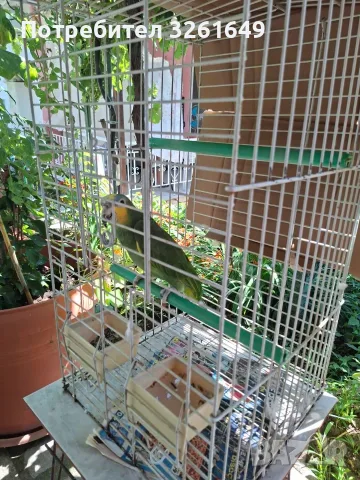 Релакс в Аспровалта! Апартамент в къща с райски двор и очарователни животни, снимка 13 - Почивки в Гърция - 55464037